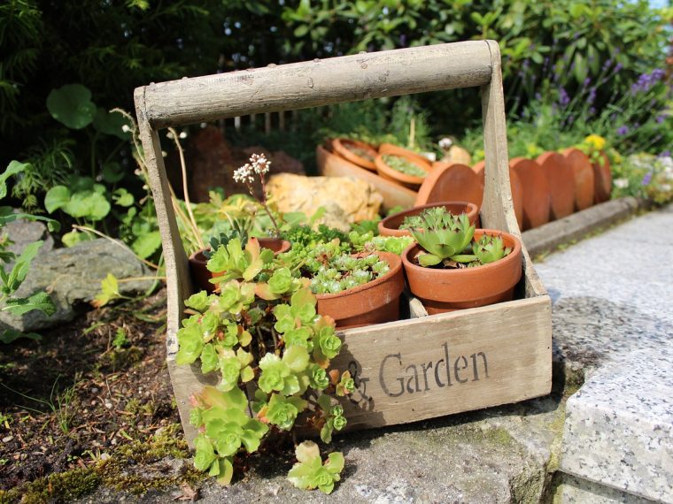 transformer une vieille fenêtre en élément décoratif dans un jardin